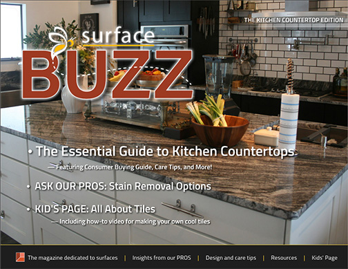 The Kitchen Countertop Special Edition